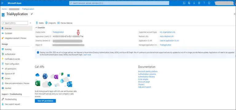 Azure application registration overview showing application identifiers and configuration links