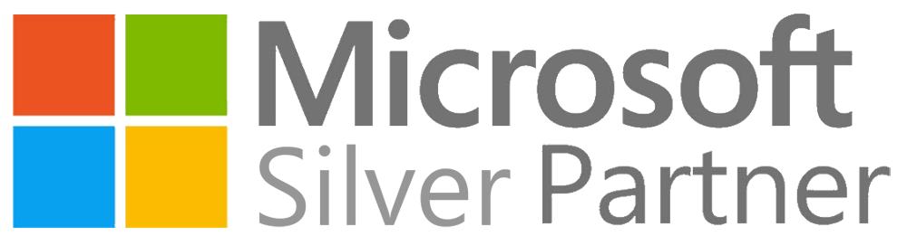 Microsoft Silver Partner logo on Nemely
